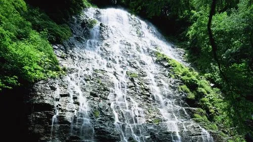 高端自动化高精度